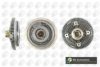 BGA VF4201 Clutch, radiator fan